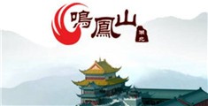 大鸡巴操东北女人逼